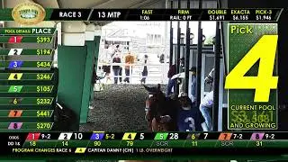 Tampa Bay Downs Live Stream