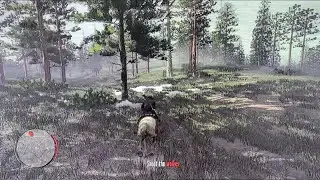 Red Dead Redemption [Let's Play] Wolves, Dogs And Sons (Mission 55)