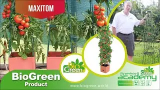 Grow Tomatoes, Cucumbers & Beans Vertically with MAXITOM Planter Towers!