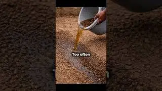 When Compost Tea Doesn&rsquo;t Work