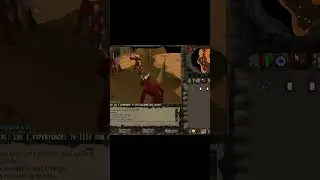 A quest skip not even on wiki! Pirates treasure Rum smuggling skip #osrs #runescape #2004scape #skip