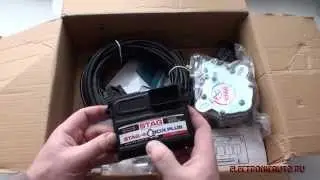 Распаковка STAG Q-Box Plus