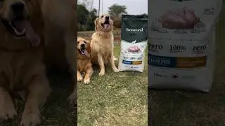 NOVO 🐶 Ra&ccedil;&atilde;o Bionatural Prime para Cachorros 💛 Compre online 📲 Link na Bio
