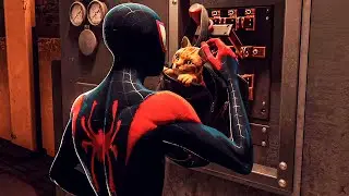 Spider-Man: Miles Morales - Saving Spider-Cat