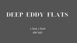Deep Eddy Flats #202 - Renovated 1 Bed, 1 Bath