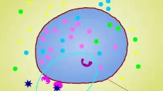 Функции мембран avi