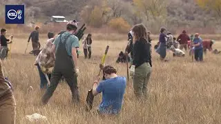 Volunteers help plant up to 50,000 trees this weekend at the Bear River Massacre Site