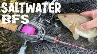 Saltwater BFS (Bait Finesse System).... LRF (Light Rock Fishing)