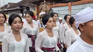 Cantiknya‼️ Peed Br. Manikan Desa Adat Guwang