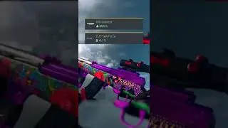 INSANE SKS LOADOUT