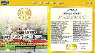 Festival Narodne Muzika - Vrnjačka Banja 2024 - (Audio 2024) - DISKOS