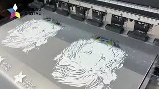 DTF printing & transfer display