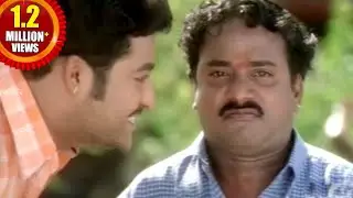 Simhadri Movie || Venu Madhav Comedy Back to Back