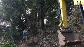 Taking out Trees and Stumps with Excavator and Chainsaw (S1E8)