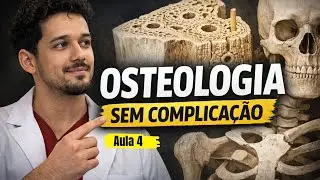 Anatomia macroscópica do osso longo | Osteologia (aula 4)