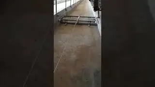 Scraper Installation in poultry (1st part)