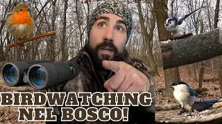 4 PASSERIFORMI da osservare nel BOSCO in Inverno!