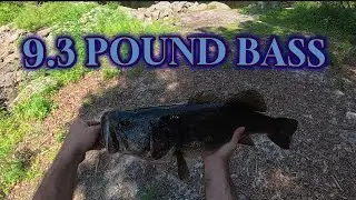 HUGE BASS BROKE MY ROD!!!