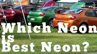 Which Neon Is Best Neon?