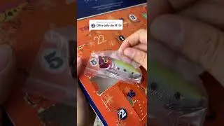#fishing #fish #fishvideos #fishtok #fishinglife