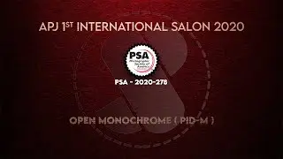 PIDM OPEN MONOCHROME APJ 1st International Salon 2020 SGIPL 1
