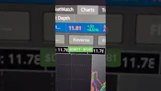 Does this have the same potential as $DKNG #Money #Luxury #Crypto #Shorts