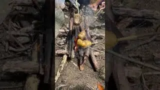 roasting potato 🥔🥔 in Jungle camping
