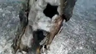Лесной пожар на горе, недалеко от Кимильтея. ( 240 X 426 ).mp4