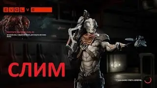 Evolve Слим(PC 1080p)