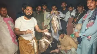 Fish🐠🐋🐟 hunting program || machli ka shikar || #fishing 
