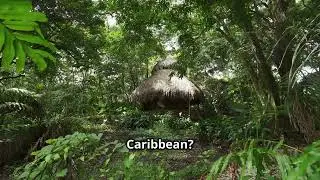 Discover Eco Friendly Resorts in the Caribbean