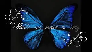 Blue Midnight Nightshade OFFICIAL (Lyric Video)