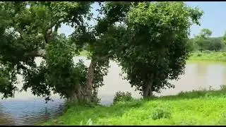 Vindhya Region journey by Train