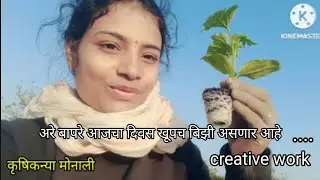 # कृषी कन्या मोनाली  # आज शेतात काय काम  झाले. # जगाचा पोशिंदा शेतकरी  # farming with passion😎