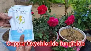 TATA copper Oxychloride fungicide / flower plants fungicide