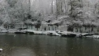 2026 Winter - 10.4 - Argen River - Wangen im Allgaeu