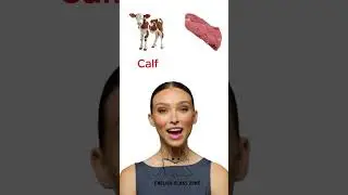 Meat Vocabulary in English