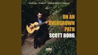 The Blue Guitar - Sonata for Solo Guitar