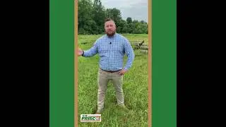 All About Marine Grade Lumber