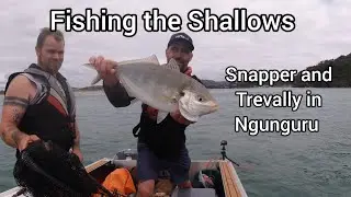 Fishing the Shallows for Snapper and Trevally in Ngunguru