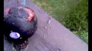Plum Explosion