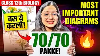 Most Important Diagrams for Class 12 Biology | Board Exam 2025 | Score 70/70 - NEVER MISS THESE