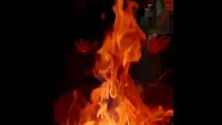 EP 21 Mount Abu - Rajasthan | Camp fire
