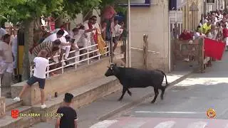 Tv San Adrian - 25/07/2019 - Fiestas - Encierro