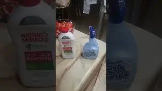 Removing Dog Pee & Poop Smell In Your House! Stop Accidents!