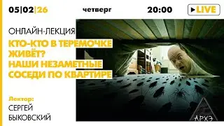 Лекция Сергея Быковского &laquo;Кто-кто в теремочке живёт? Наши незаметные соседи по квартире&raquo;