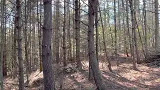Lot 95, 2.4 acres-Crescent Ridge Dr cul-de-sac - The Coves Mountain River Club, Blue Ridge Mountains