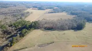 DJI mini 4k takes a long flight 