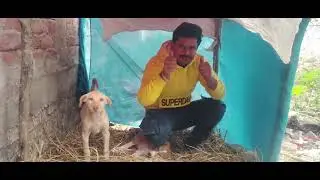 Kaisa laga aap logo hamare dog ka dog house 🏡