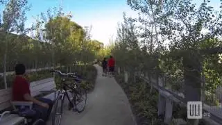 Urban Open Spaces: 606 Trail Opens in Chicago